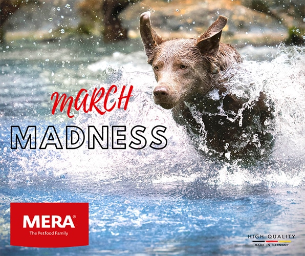 March-Madness